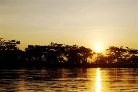  Der Sonnenuntergang über dem Magdalena Fluss – Eine Symphonie von Licht und Schatten in der kolumbianischen Kunst!